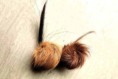 ORIGINAL SIYAR SINGI Male & Female