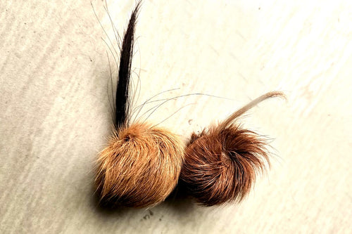 ORIGINAL SIYAR SINGI Male & Female