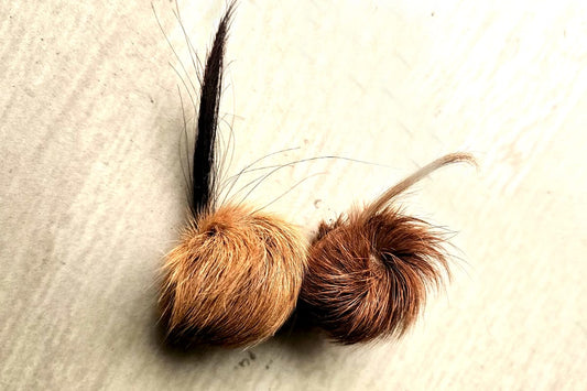 ORIGINAL SIYAR SINGI Male & Female