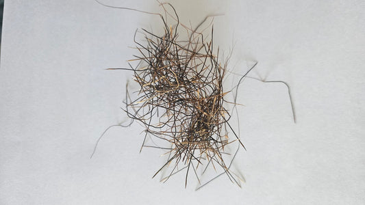 राज मोहिनी वशीकरण जड़ी बूटी