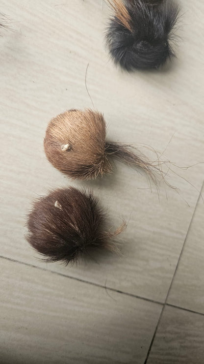 ORIGINAL SIYAR SINGI Male & Female